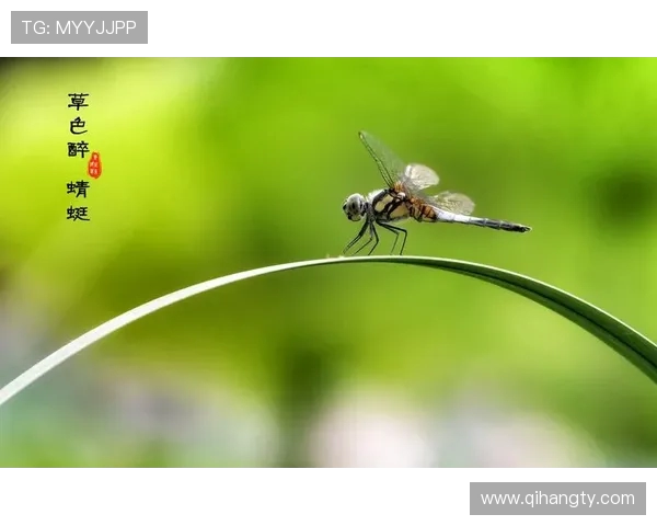 杩滆棨鑸細鍔犵洘鍒╃墿娴﹀疄鐜拌嫳瓒呭啝鍐涙ⅵ锛屼负绾㈠啗澶哄啝鑷豹