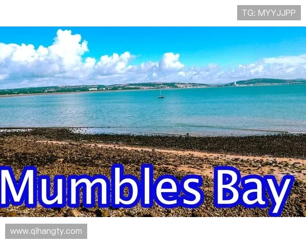 璐靛窞绛戝煄瀹樺涓ゅ皢绂婚槦 鏉庡▉渚槧涓炲紑鍚柊寰佺▼